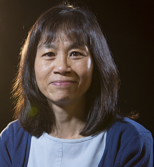Professor Effie Lai-Chong Law